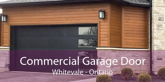 Commercial Garage Door Whitevale - Ontario