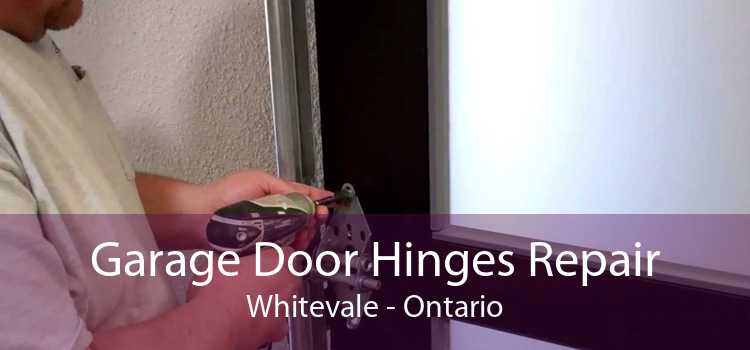 Garage Door Hinges Repair Whitevale - Ontario