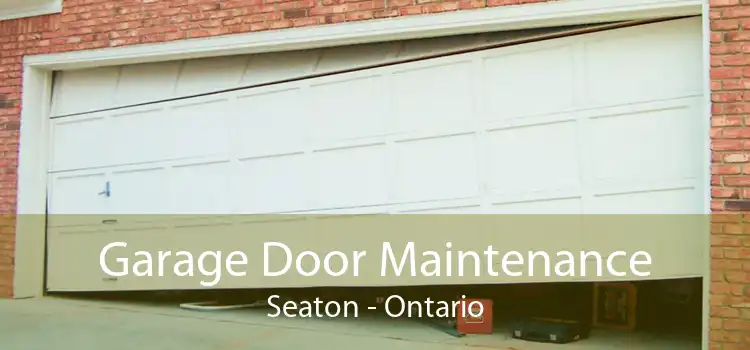 Garage Door Maintenance Seaton - Ontario