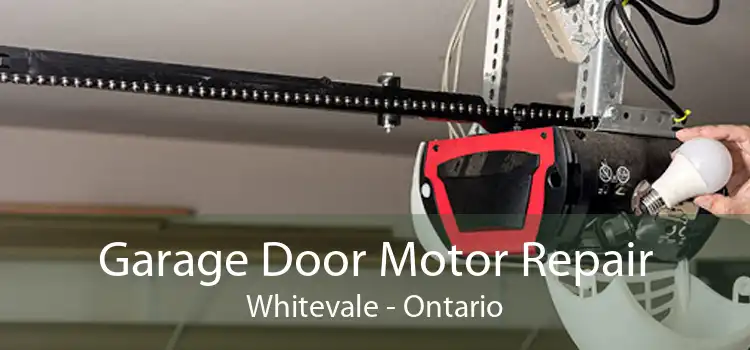 Garage Door Motor Repair Whitevale - Ontario