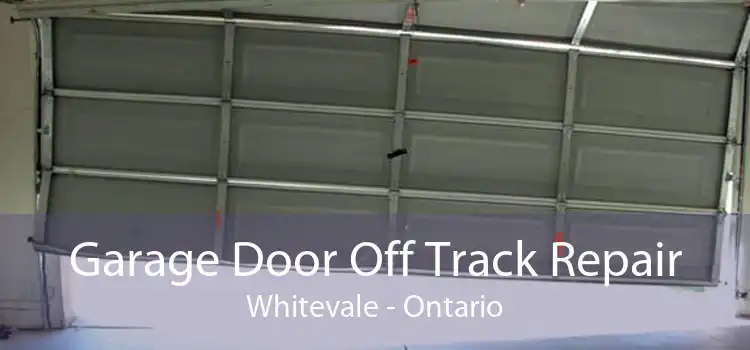 Garage Door Off Track Repair Whitevale - Ontario