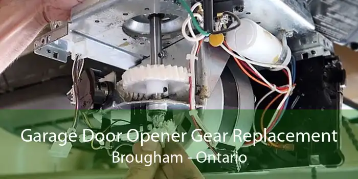 Garage Door Opener Gear Replacement Brougham - Ontario