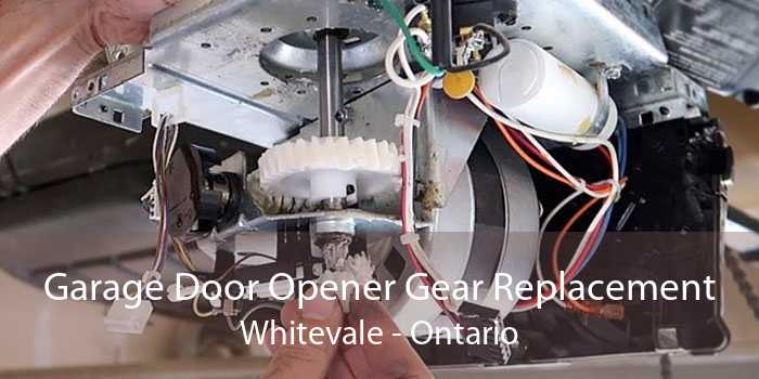 Garage Door Opener Gear Replacement Whitevale - Ontario