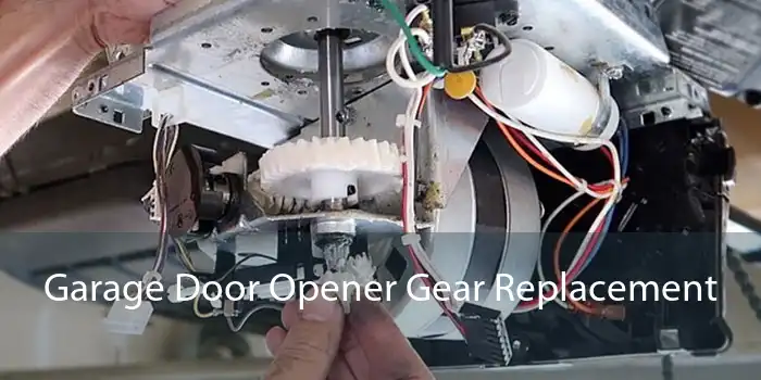 Garage Door Opener Gear Replacement 