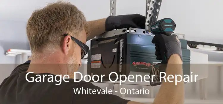 Garage Door Opener Repair Whitevale - Ontario