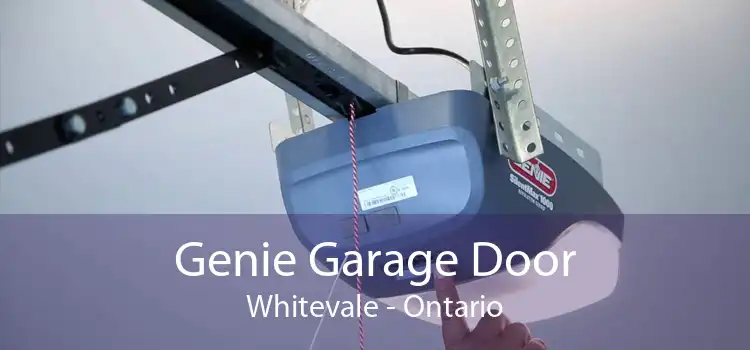 Genie Garage Door Whitevale - Ontario