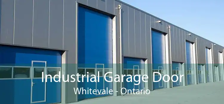 Industrial Garage Door Whitevale - Ontario