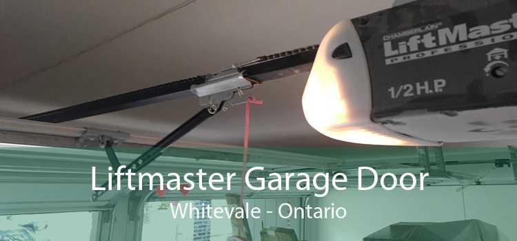 Liftmaster Garage Door Whitevale - Ontario
