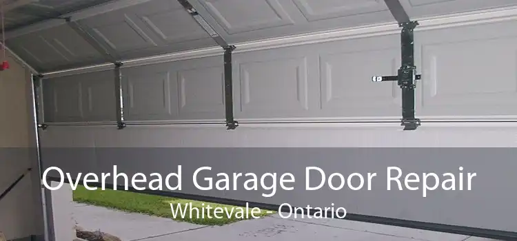 Overhead Garage Door Repair Whitevale - Ontario