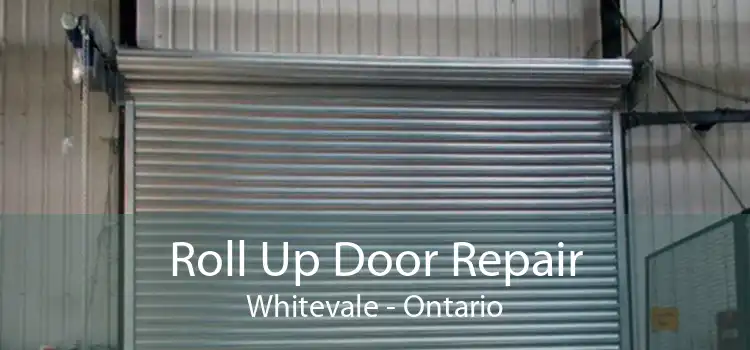 Roll Up Door Repair Whitevale - Ontario